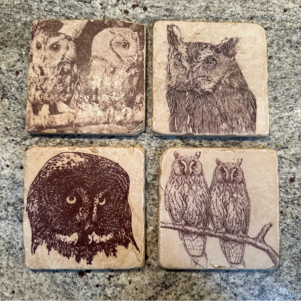 Set of Four Owl Coasters